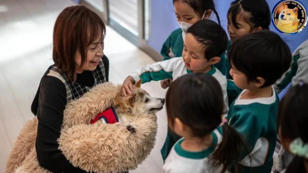 Kabosu with her owner.