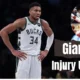 giannis antetokounmpo injury