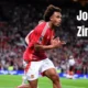 Joshua Zirkzee