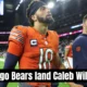 chicago bears