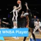 Tallest WNBA Player