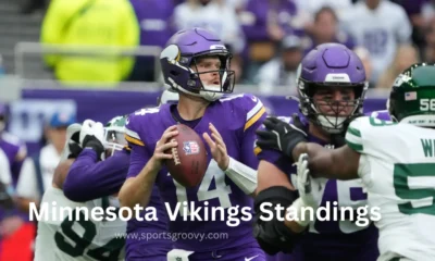 minnesota vikings standings