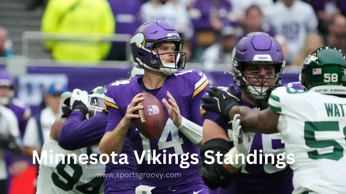 minnesota vikings standings